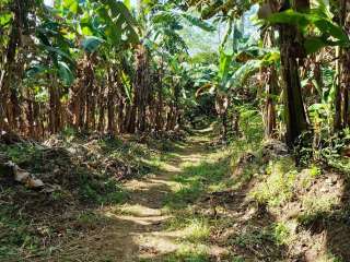 CHEAP FARM LOT BULACAN  PHILIPPINES