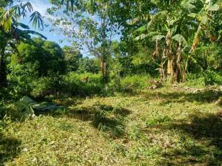 CHEAP FARM LOT BULACAN  PHILIPPINES