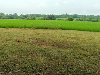 FARMLOT POLICARPIO BULACAN