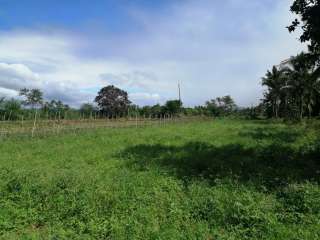 FARMLOT NORZAGARAY BULACAN