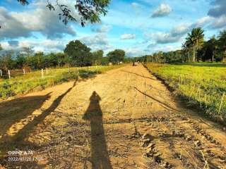 FARMLOT NORZAGARAY BULACAN