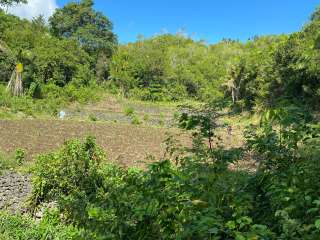 FARM LOT FOR SALE