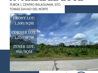 100sqm Lot in Balagunan, Sto. Tomas, Davao del Norte – Available in Easy Installments!