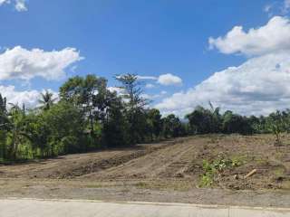 100sqm Lot in Balagunan, Sto. Tomas, Davao del Norte – Available in Easy Installments!