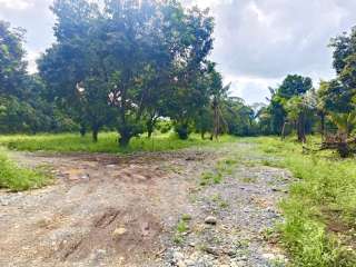 Titled Residential & Farm Lots in Kapalong – No Downpayment!