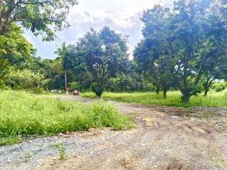 Titled Residential & Farm Lots in Kapalong – No Downpayment!