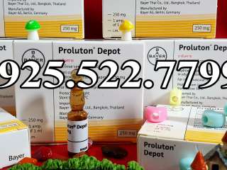 PROLUTON DEPOT 250MG - GERMANY