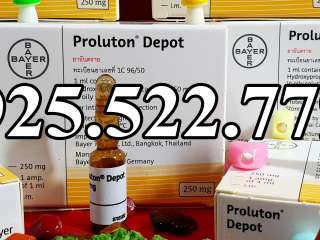 PROLUTON DEPOT 250MG - GERMANY