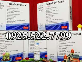 TESTOVIRON DEPOT - TESTOSTERONE ENANTATE 250MG