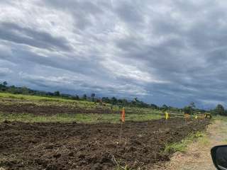 Lot for Sale - Location: Bobongon, Sto. Tomas Davao del Norte Along provincial road