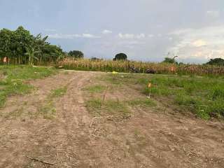 Lot for Sale - Location: Bobongon, Sto. Tomas Davao del Norte Along provincial road