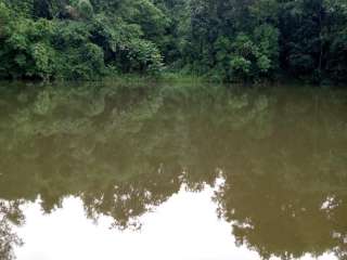 15 Hectare Farm Land for Sale in Bgy. Camachile, Dona Remedios Trinidad, Bulacan