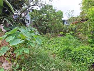 Lot for Lease
