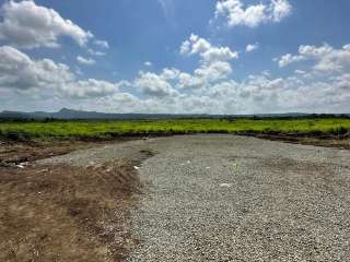 PRE-SELLING SOUTH PALM GROVE BY ALVEO LAND