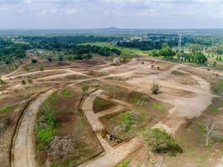 PRE-SELLING SOUTH PALM GROVE BY ALVEO LAND