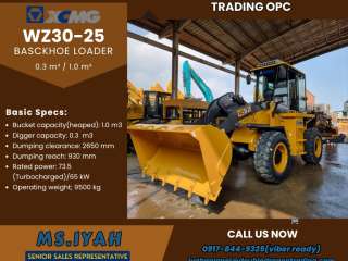 Wz30-25 Xcmg Backhoe Loader 0.3 m³ / 1.0 m³