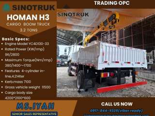 Sinotruk Homan H3 Cargo Boom truck 3.2T-E2