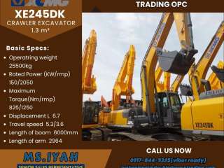 Xcmg Xe245dk  Crawler Excavator  1.3 m³