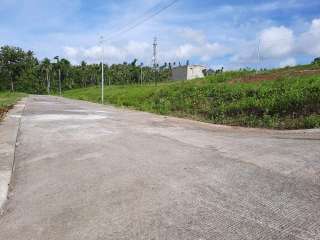 Rush Sale: Subdivided Lots for Sale in Ligao City