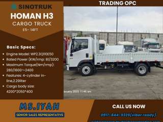 Sinotruk Homan H3 4x2 Cargo Truck 14feet'