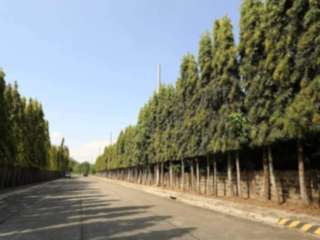 Lot for sale in plaridel Heights bulacan