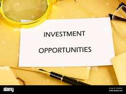 INVESTMENT,INVESTMENT,INVESTMENT, We are looking for a project to invest in