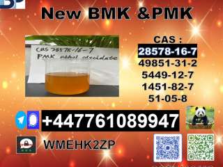 Safe delivery New 28578-16-7 and 49851-31-2