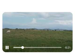 Very large beach lot in Bohol Philippines