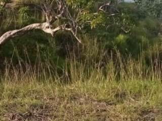 Very large beach lot in Bohol Philippines