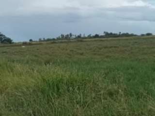 Very large beach lot in Bohol Philippines