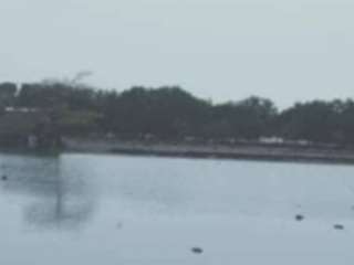 Very large beach lot in Bohol Philippines