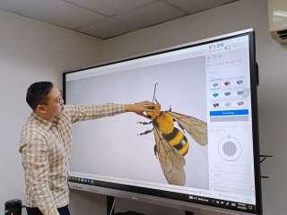 LED TV. Monitor 55'' LED with Stand