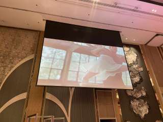 Projector Sounds and Lights Rental