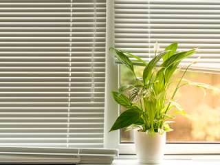 Window Blinds Supplier and Installer, Vertical Blinds, Horizontal Blinds,  Roller Blinds, Wooden Blinds