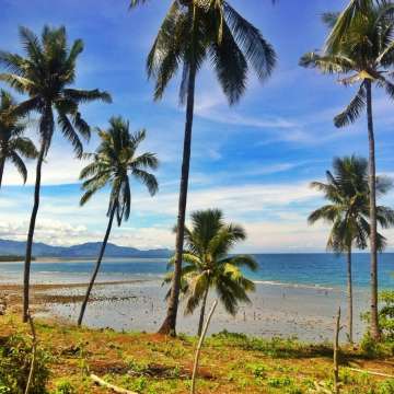 zamboanga del sur